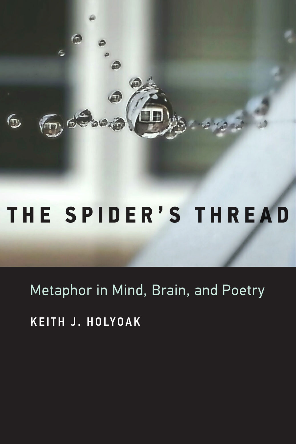The Spider's Thread cover